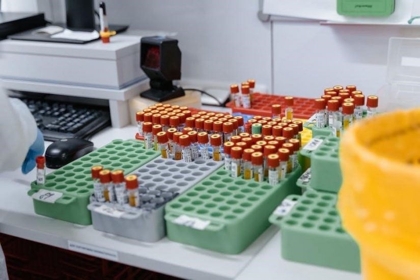microbiology laboratory theory & application pdf