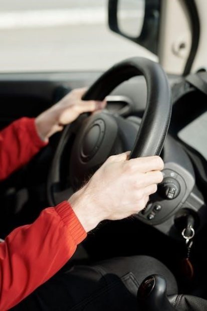 shark navigator dlx owners manual