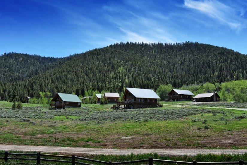 yellowstone alpen guides west yellowstone mt